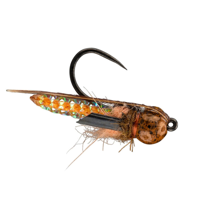 RIO Puparazzi Honey, caddis pupa with mottled tungsten bead and dark wing pads
