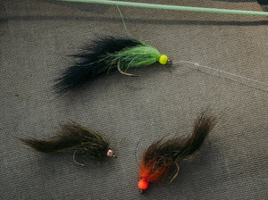 Tiemco TMC 2499SP-BL Nymph Hook 25 pack - Mossy Creek Fly Fishing