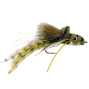 Swim Frog White Belly