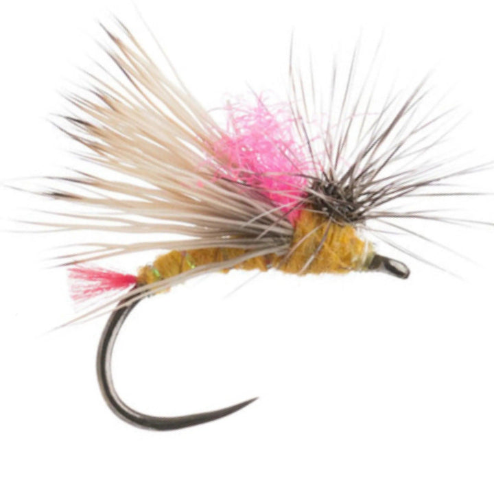 Umpqua Front End Loader Golden dry fly with stacked hackle and caddis wing