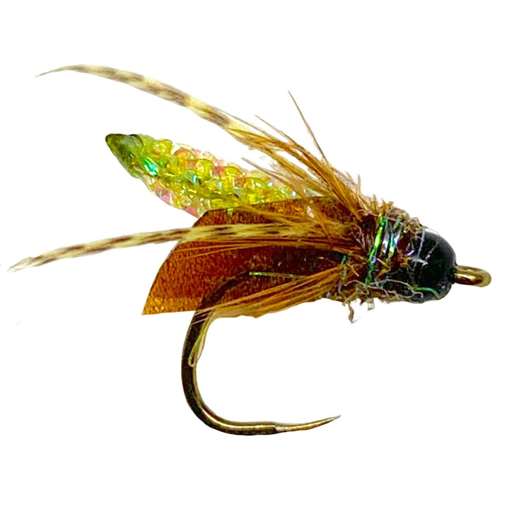 Umpqua Nitro Caddis Olive nymph with segmented body and bead head