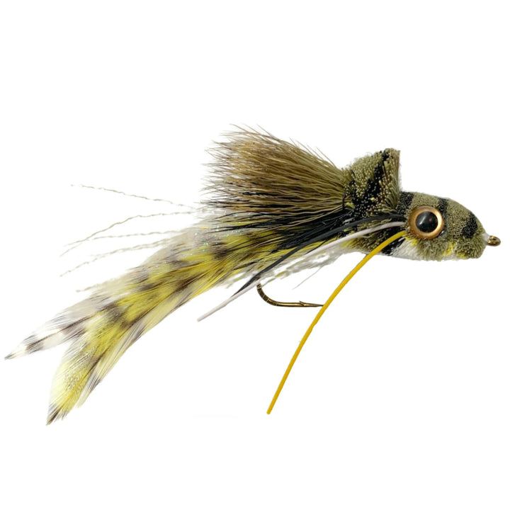 Umpqua Swim Frog White Belly bass fly with furry head and feathered tail
