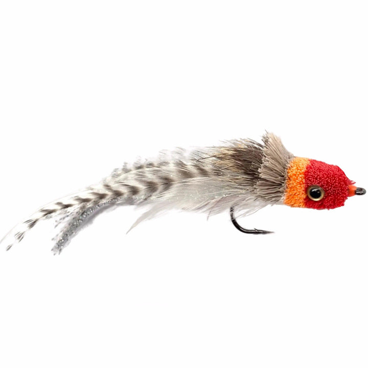 Umpqua Swimming Baitfish Red/White bass fly with furry head and feathered tail