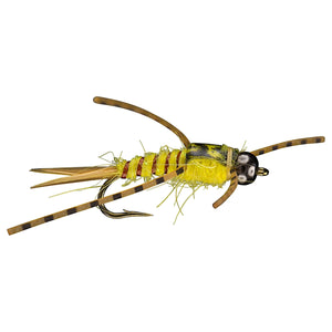 Yellow Sally Nymph
